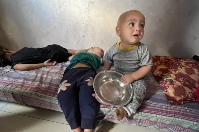 Opini: Palestina Tidak Butuh Simpati, Tapi Usaha yang Berarti