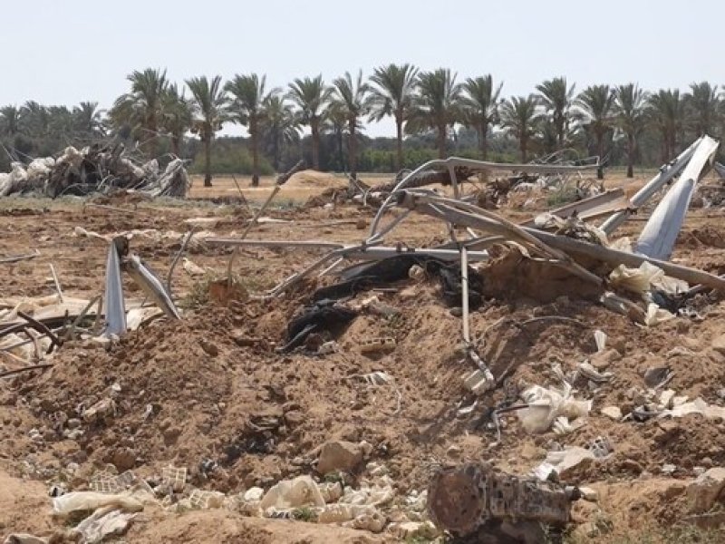 Perang Gaza Telah Menghancurkan Pertanian Palestina dan Memperdalam Krisis Kelaparan