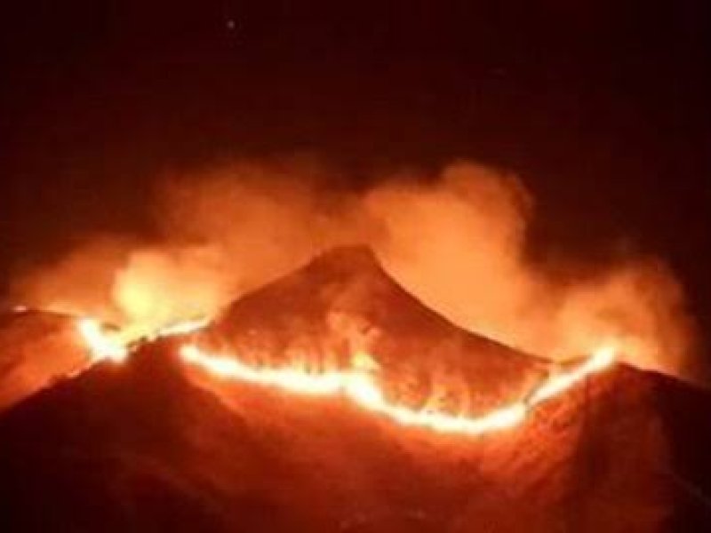 40 Titik Api Hanguskan Puluhan Hektar Padang Savana Gunung Bromo
