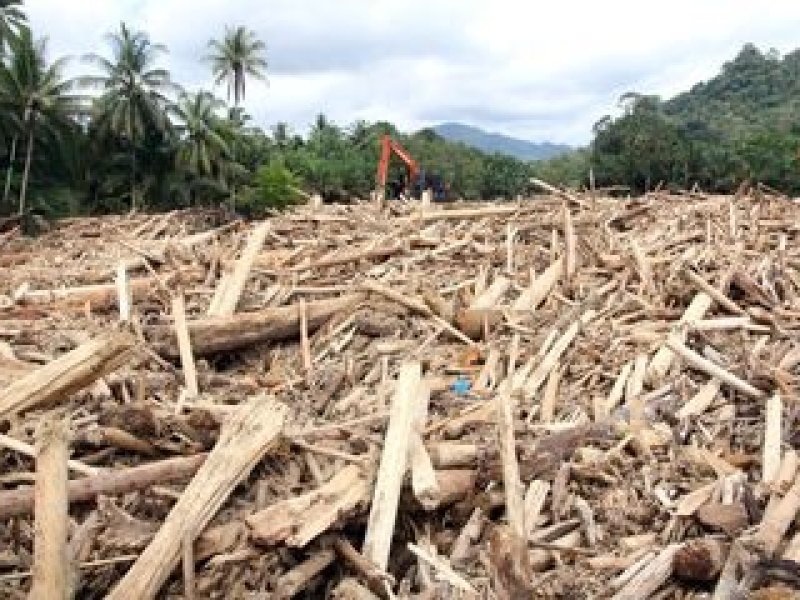 Tumpukan Kayu Hanyut Usai Banjir Bandang Diduga Hasil Pembalakan Liar, Ahli Hukum Desak Penindakan Tegas