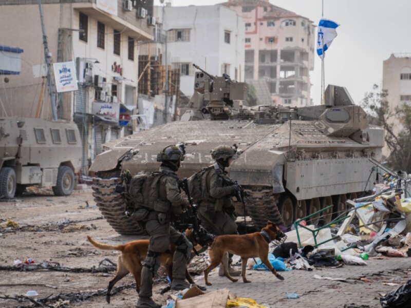 Belanda Dituding Terlibat dalam Kejahatan Perang di Gaza dengan Menyuplai Anjing Militer ke ‘Israel’