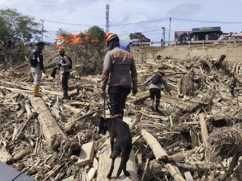 Pemerintah Aceh Nilai Banjir dan Longsor Bukan Kejadian Biasa, Material Kayu Jadi Fokus Penyelidikan