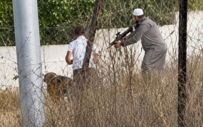 Aksi Heroik Petani Palestina Rebut Senjata Pemukim dan Tewaskan Dua Tentara 'Israel'