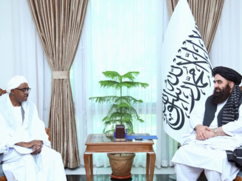 Perwakilan OKI Menyerukan Keterlibatan Realistis dengan Afghanistan