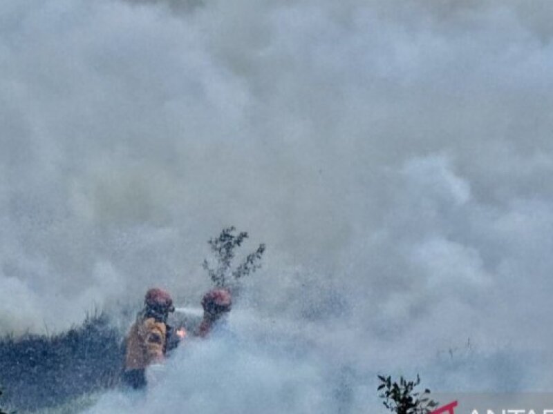Karhutla Sebabkan Asap Tebal di Bangka Barat, Dinas Kesehatan Pastikan Kasus ISPA Juli–Agustus 2026 Masih Stagnan