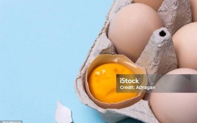 Opini: Patutkah Pemerintah Mewajibkan Infak?
