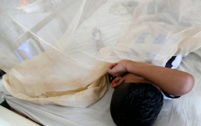 Wabah Demam Berdarah Serang Kamp Pengungsi Marib Yaman