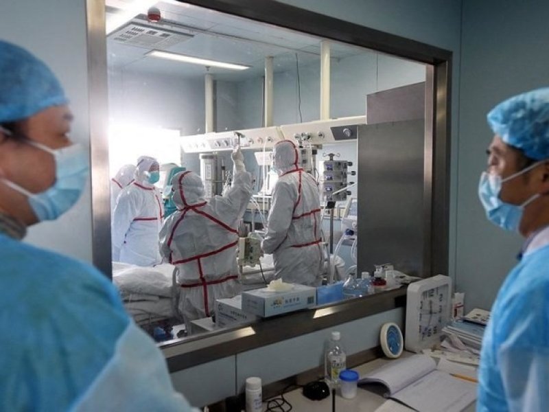 Kematian Akibat Flu Burung H3N8 Pertama Tercatat di Cina