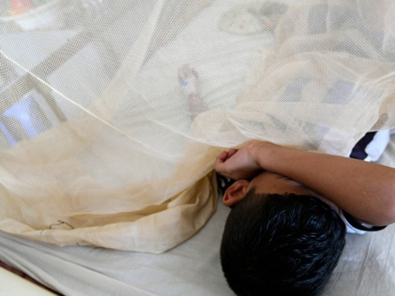 Wabah Demam Berdarah Serang Kamp Pengungsi Marib Yaman