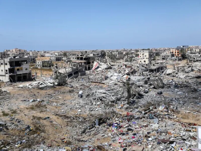 Gerombolan Tikus Serbu Pos Militer dan Permukiman 'Israel' di Dekat Gaza