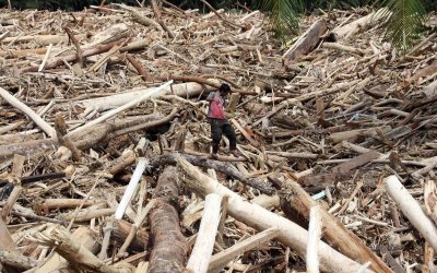 Kapitalisme dan Jejak Luka Ekologis Sumatera: Islam Hadir dengan Sistem Tata Kelola Lingkungan yang Tegas serta Transparan