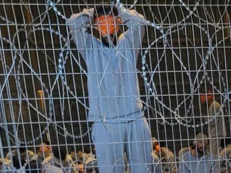 Mengejutkan! Tahanan Palestina Diperkosa Berkali-kali oleh Anjing Militer 'Israel'