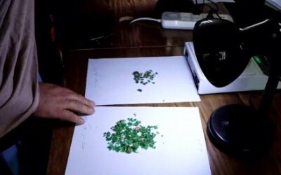 Panjshir Menjual Batu Zamrud Senilai Lebih dari $4 Juta dalam Satu Tahun