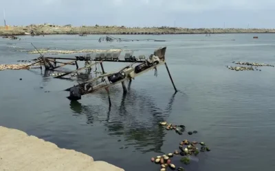 Sektor Perikanan Gaza Lumpuh Total Akibat Serangan Militer, Produksi Ikan Anjlok