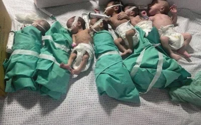 'Israel' Targetkan Ibu dan Bayi Palestina Sejak dalam Kandungan, Laporan PFC Ungkap Genosida Reproduksi