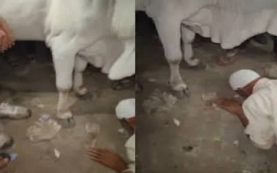 Dituduh Tendang Sapi, Kakek Muslim Dipaksa Bersujud di India