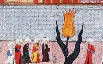 Perjalanan Tulip Dari Utsmaniyah Ke Eropa