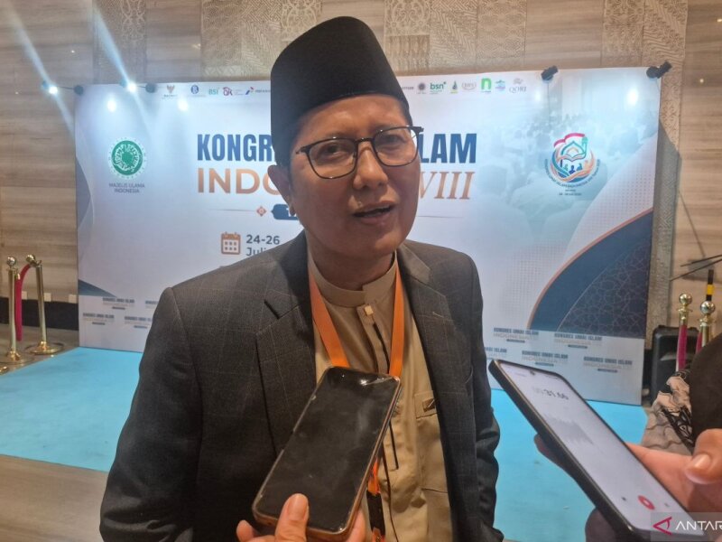 DSN MUI Dorong Gagasan Danantara Syariah Jadi Institusi Konkret