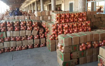 Kandahar Mencatat Ekspor Senilai $97,5 Juta Selama Enam Bulan