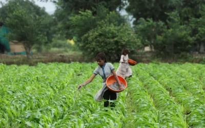 Ancaman Kelaparan Global, PBB Peringatkan Dampak Terganggunya Pasokan Pupuk di Selat Hormuz