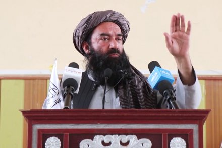 Noorullah Noori: Di bawah Imarah Islam, Bahkan Hak-hak Hewan pun Dilindungi