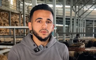 Tentara 'Israel' Rampok Ternak Milik Petani Palestina di Tepi Barat