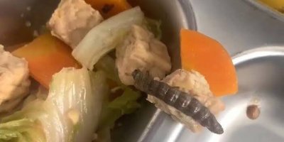 Menu Makan Bergizi Gratis di SMPN 2 Sewon Bantul Tercemar Ulat dan Jangkrik, Ini Tanggapan BGN