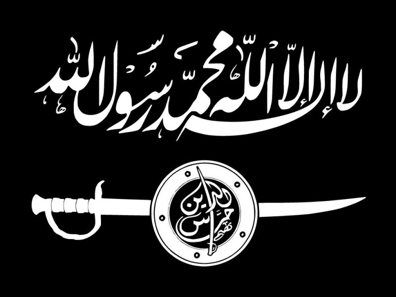 Hurras al Din: Kebangkitan, Kejatuhan, dan Bubarnya Loyalis Al Qaeda di Suriah