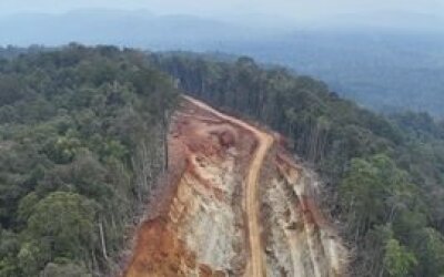 Koalisi KAWALI Desak Pencabutan Izin Tambang Nikel PT Position karena Rusak Hutan Adat di Halmahera