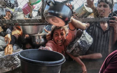 Board of Peace Trump Gagal Total, Gaza Masih Terancam Perang dan Kelaparan
