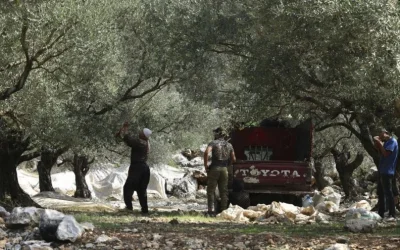 Ketika Akar Zaitun Dirusak: Palestina dan Krisis Kepemimpinan Umat