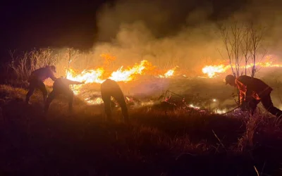 Indonesia Berjuang Mengatasi Kebakaran Hutan dan Lahan, Termasuk di Bromo