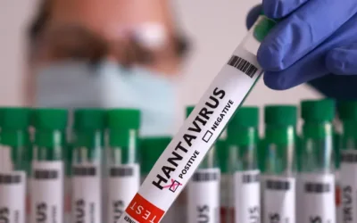 Geger Virus Hanta di Kapal Pesiar Hondus: Satu Pasien Kritis, Penumpang Diisolasi 42 Hari