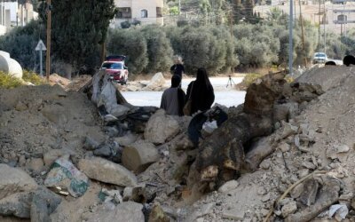 Serangan Pemukim 'Israel' Meluas saat Musim Panen Zaitun di Tepi Barat