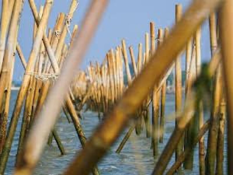 Prabowo Perintahkan Cabut Pagar Laut Diduga Milik Agung Sedayu di Pesisir Tangerang