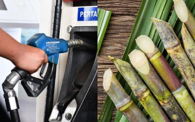 BBM Bioetanol Benarkah untuk Kepentingan Rakyat?