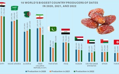 Ramadhan 2025, Negara Mana yang Paling Banyak Menanam Kurma?