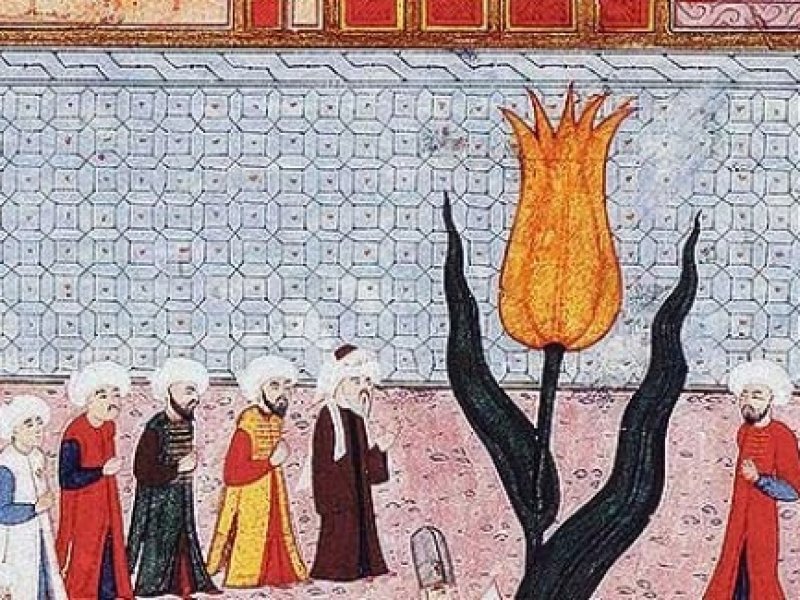 Perjalanan Tulip Dari Utsmaniyah Ke Eropa