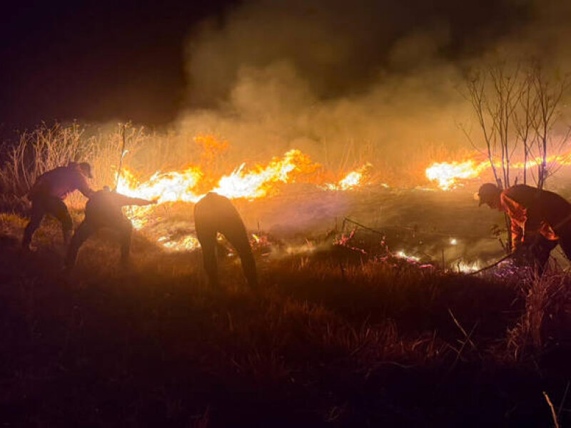 Indonesia Berjuang Mengatasi Kebakaran Hutan dan Lahan, Termasuk di Bromo