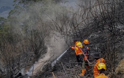 Korban Tewas Kebakaran Gunung Bromo Bertambah Jadi Empat Orang, Dua Relawan Luka Bakar Serius