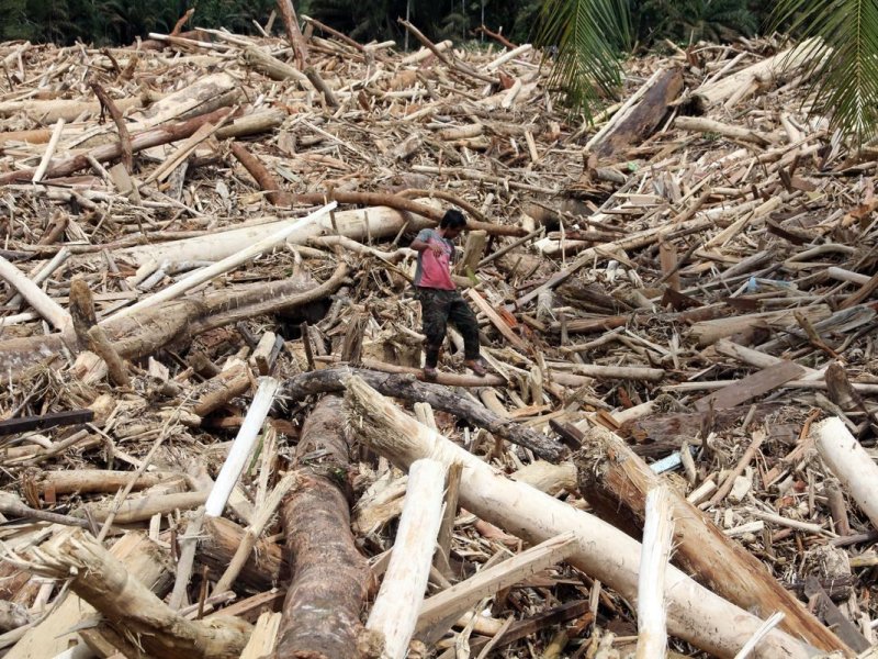 Kapitalisme dan Jejak Luka Ekologis Sumatera: Islam Hadir dengan Sistem Tata Kelola Lingkungan yang Tegas serta Transparan