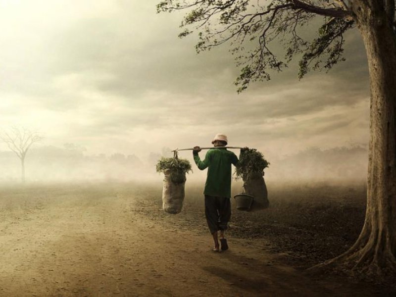 Risalah Ibnul Qayyim, keberkahan pada diri seseorang