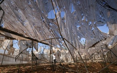 Palestina dan Kesadaran Persatuan Global