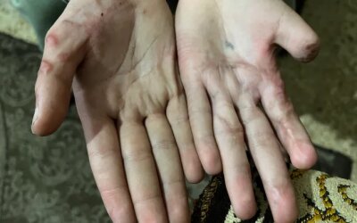 16 Remaja Palestina Alami Kekerasan Seksual oleh Tentara Wanita 'Israel' di Pusat Penahanan Militer