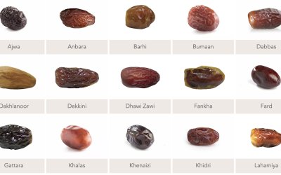 Kurma, Permata Gurun Pasir yang Dicintai Warga Saudi Ketika Ramadhan