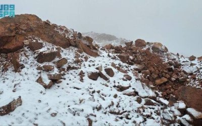 Mengejutkan! Salju Selimuti Gurun Arab Saudi dan Qatar