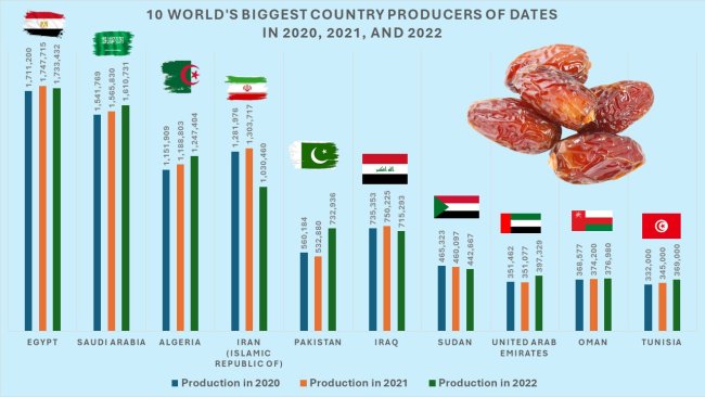 Ramadhan 2025, Negara Mana yang Paling Banyak Menanam Kurma?