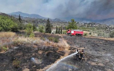 Kebakaran Hutan Suriah Meluas di Hari Kelima Akibat Angin Kencang