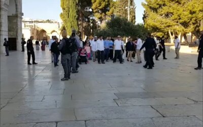Lebih dari 1.000 Jemaah Palestina Dilarang Masuk Al-Aqsha, 53.000 Pemukim 'Israel' Masuk