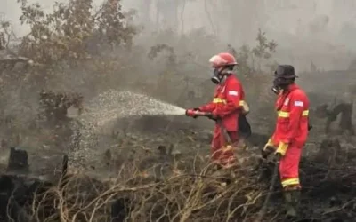 Kasus ISPA Meningkat akibat Asap Karhutla